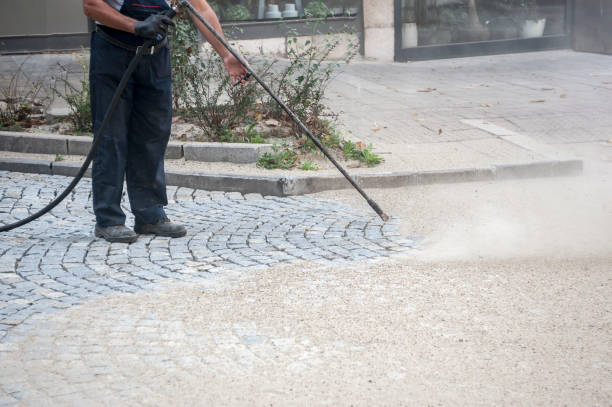 Best Gutter Cleaning  in Independence, WI